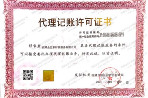 如何選擇拉薩的工商代理注冊公司機構(gòu)、代理記賬機構(gòu)？