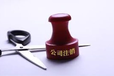 拉薩注銷一個公司，需要去幾個部門？整體時間需要多久？大概流程是怎樣的？